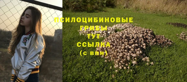 твердый Балабаново