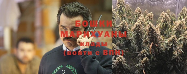 гидра Баксан